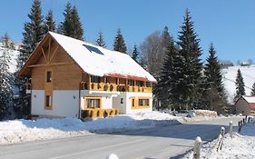 Arnica Montana