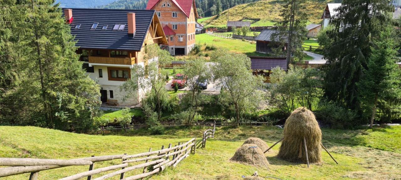 Arnica Montana Hotel Arieşeni Eksteriør billede