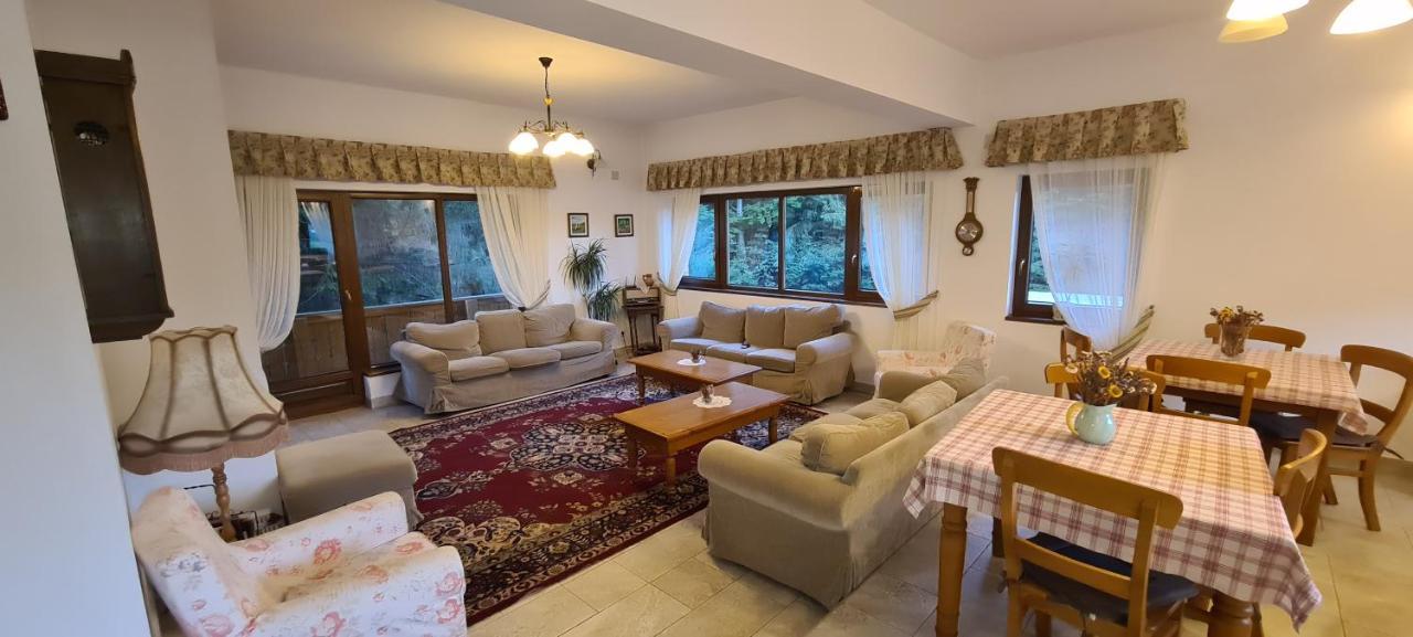 Arnica Montana Hotel Arieşeni Eksteriør billede