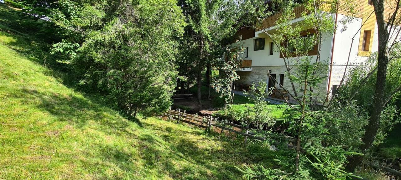 Arnica Montana Hotel Arieşeni Eksteriør billede