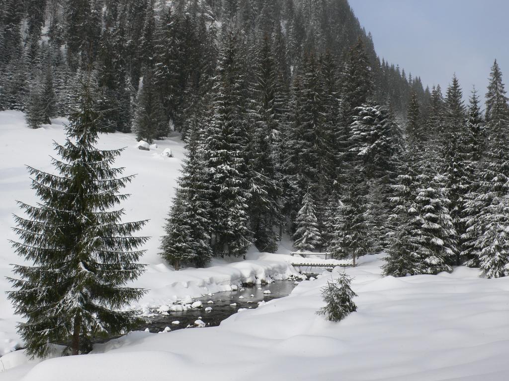 Arnica Montana Hotel Arieşeni Eksteriør billede