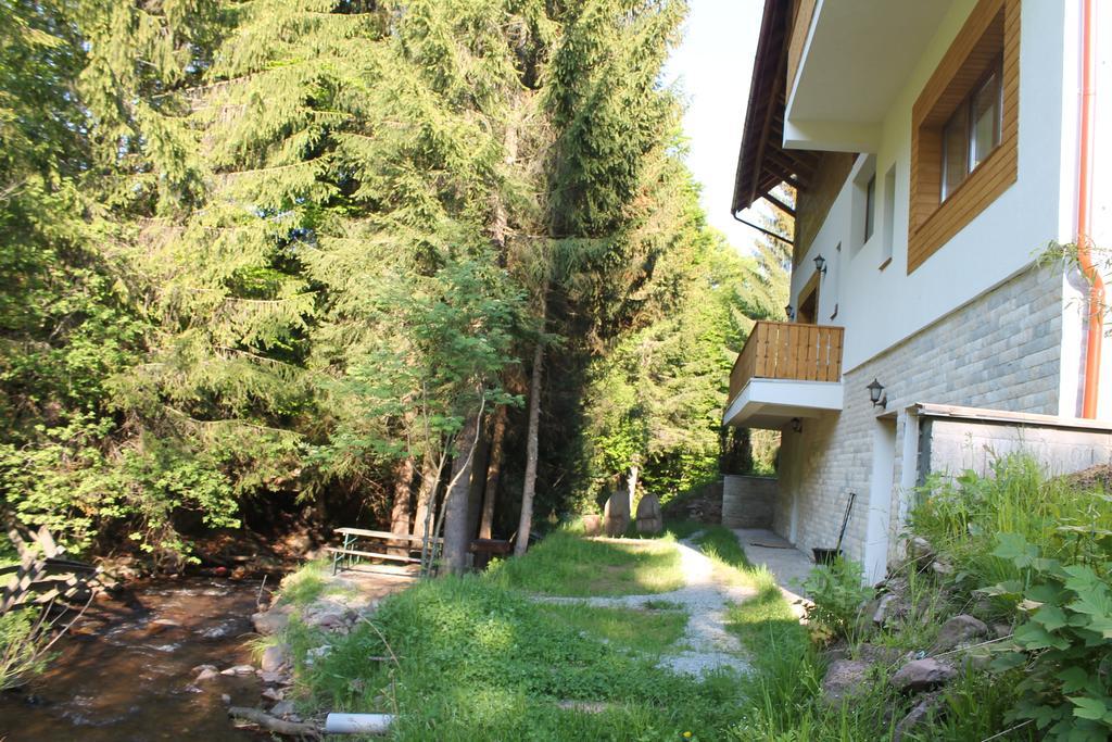 Arnica Montana Hotel Arieşeni Eksteriør billede