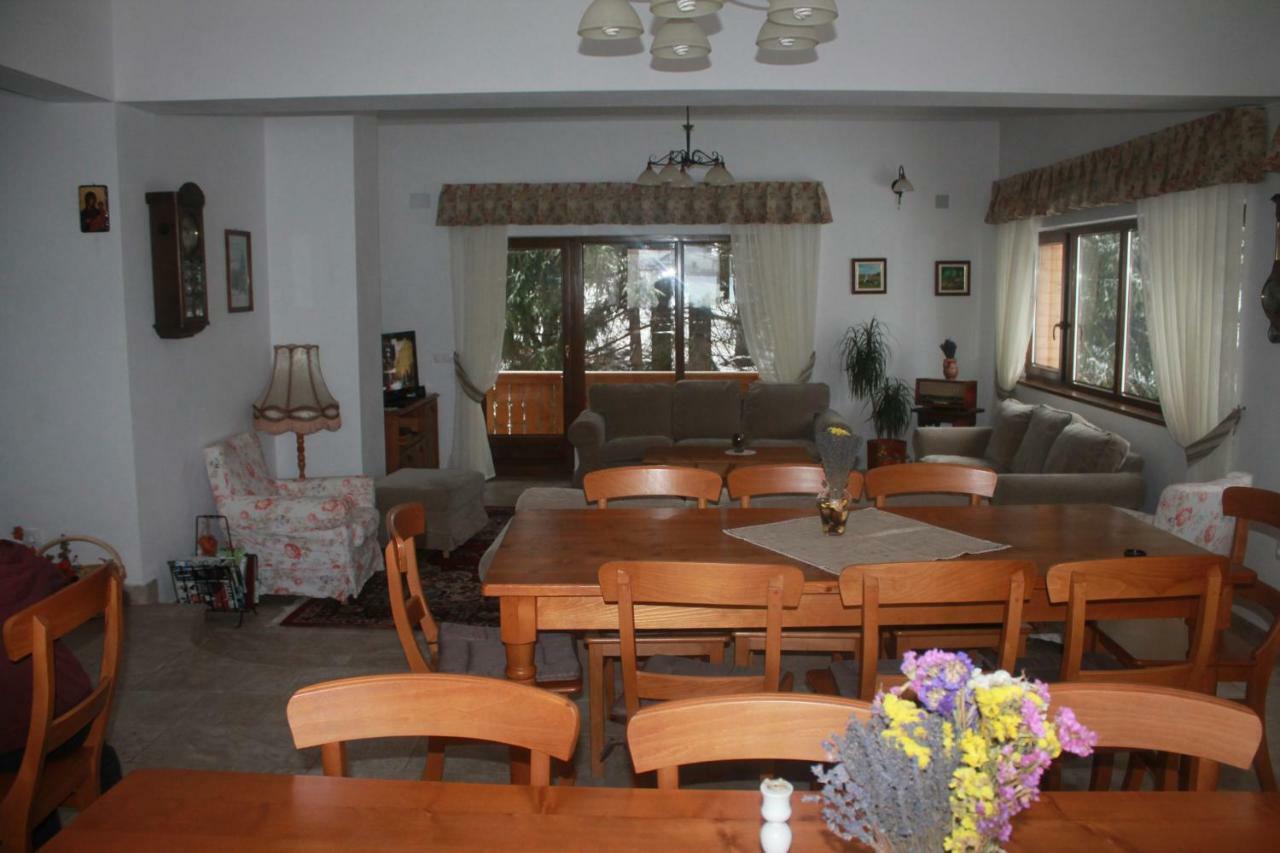 Arnica Montana Hotel Arieşeni Eksteriør billede