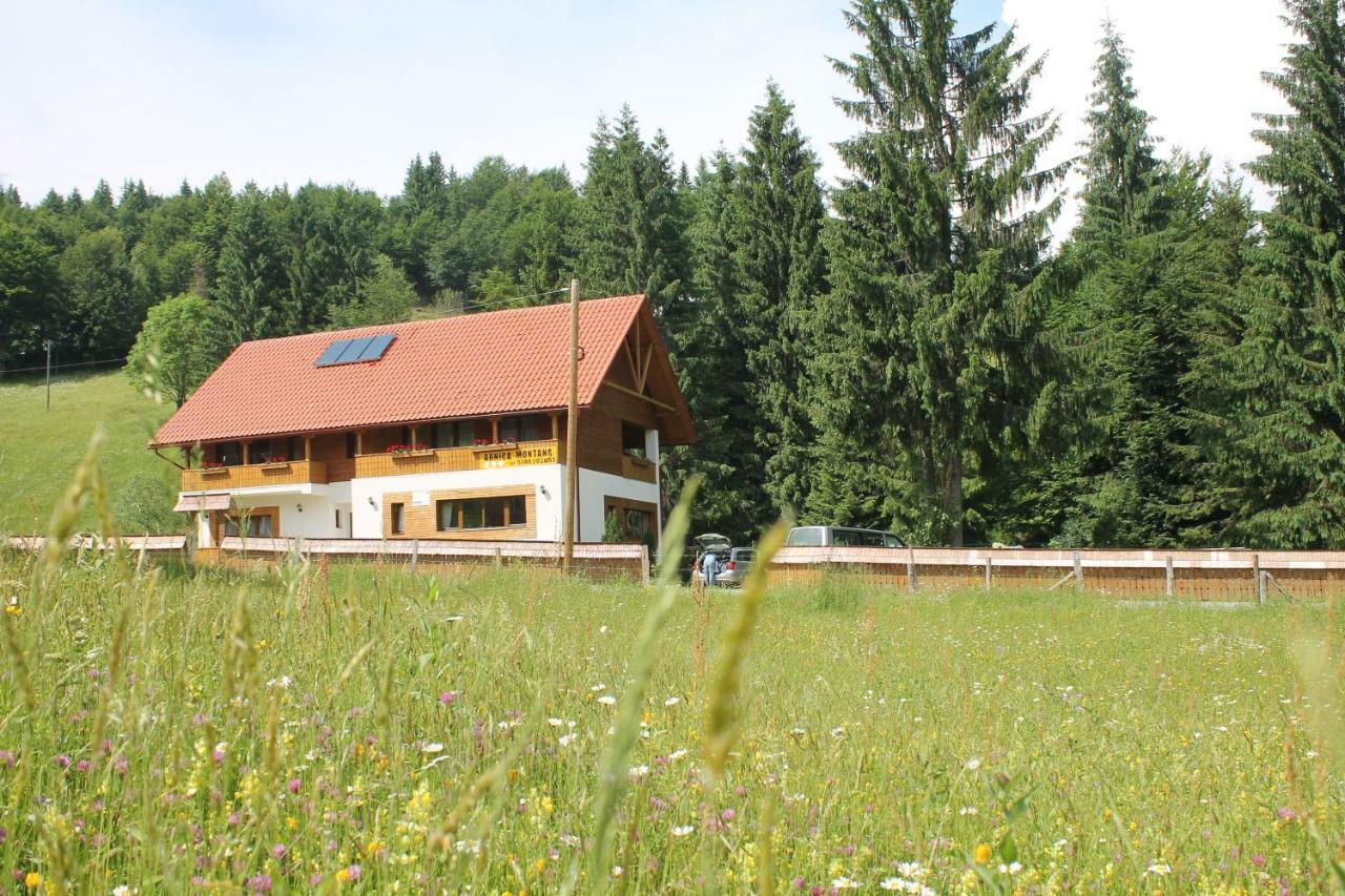 Arnica Montana Hotel Arieşeni Eksteriør billede