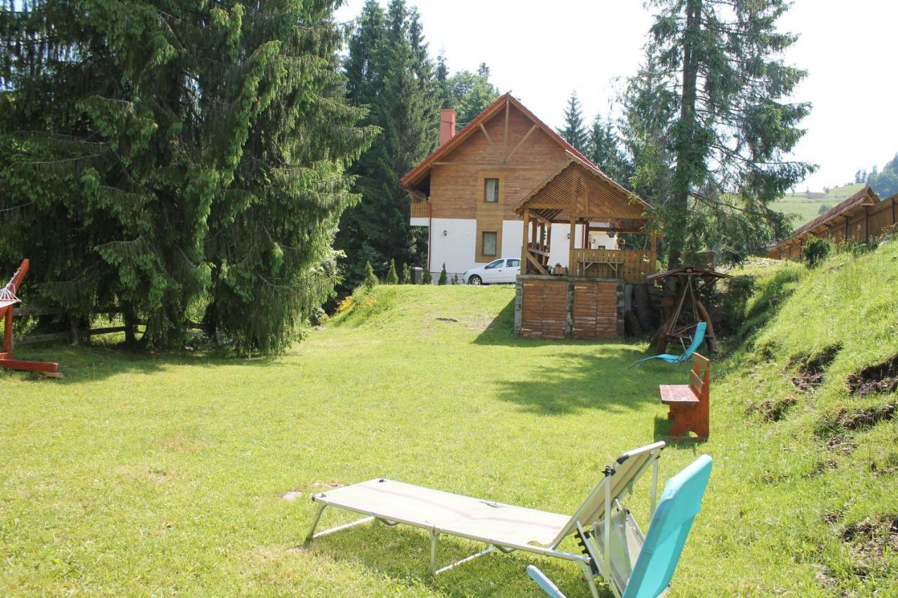 Arnica Montana Hotel Arieşeni Eksteriør billede