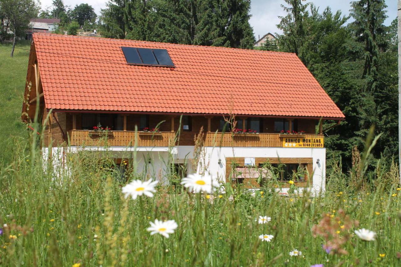 Arnica Montana Hotel Arieşeni Eksteriør billede
