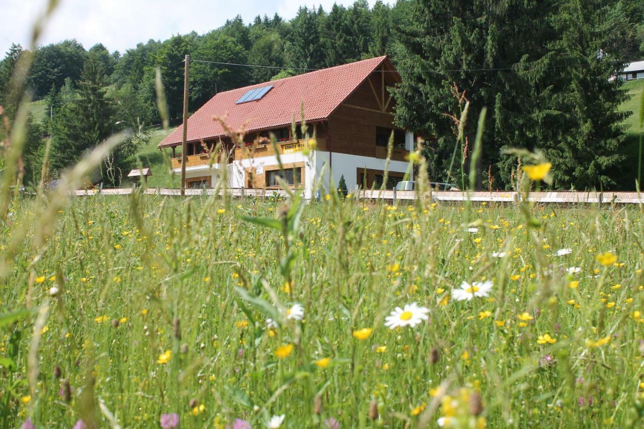 Arnica Montana Hotel Arieşeni Eksteriør billede