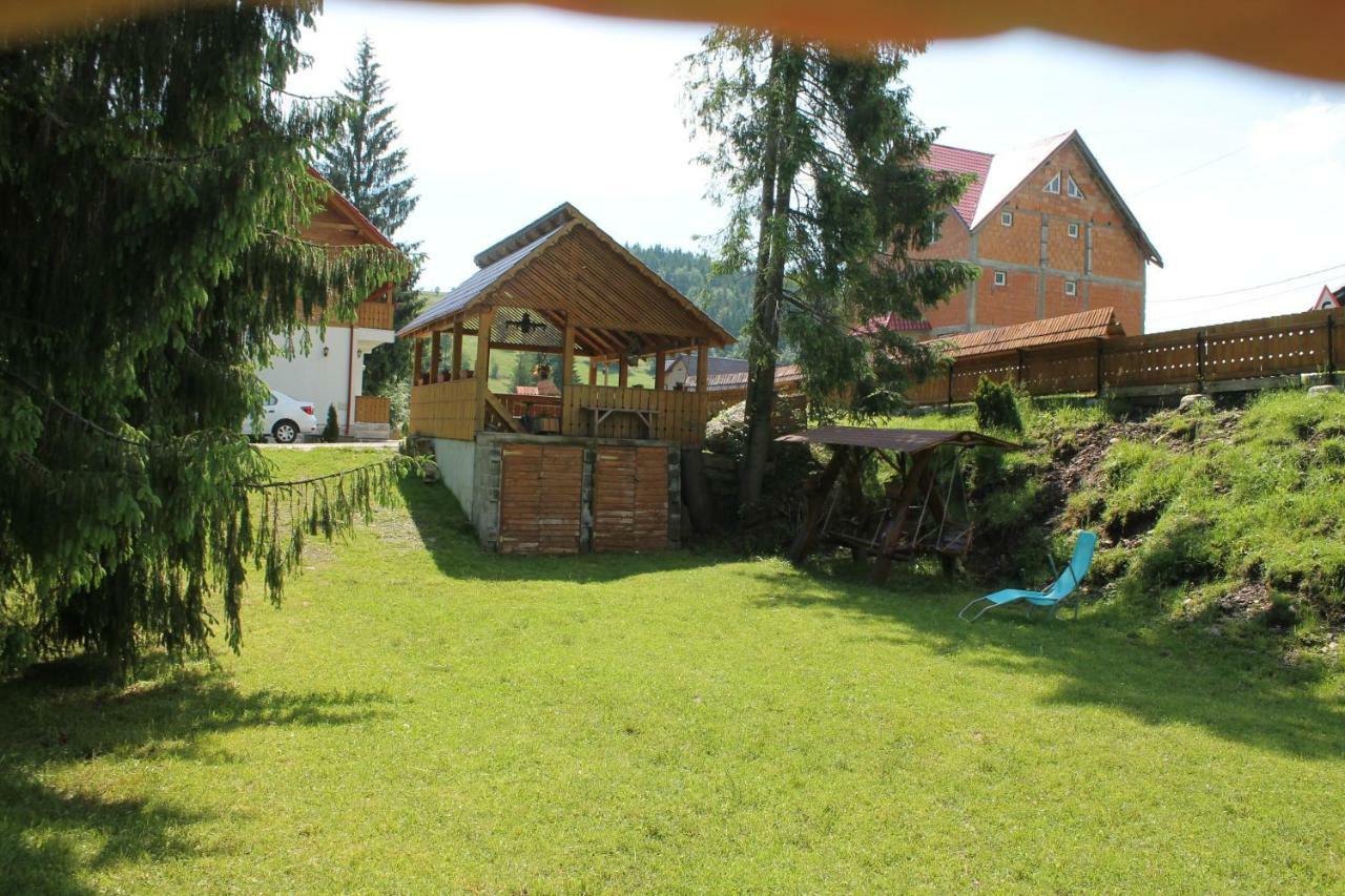 Arnica Montana Hotel Arieşeni Eksteriør billede