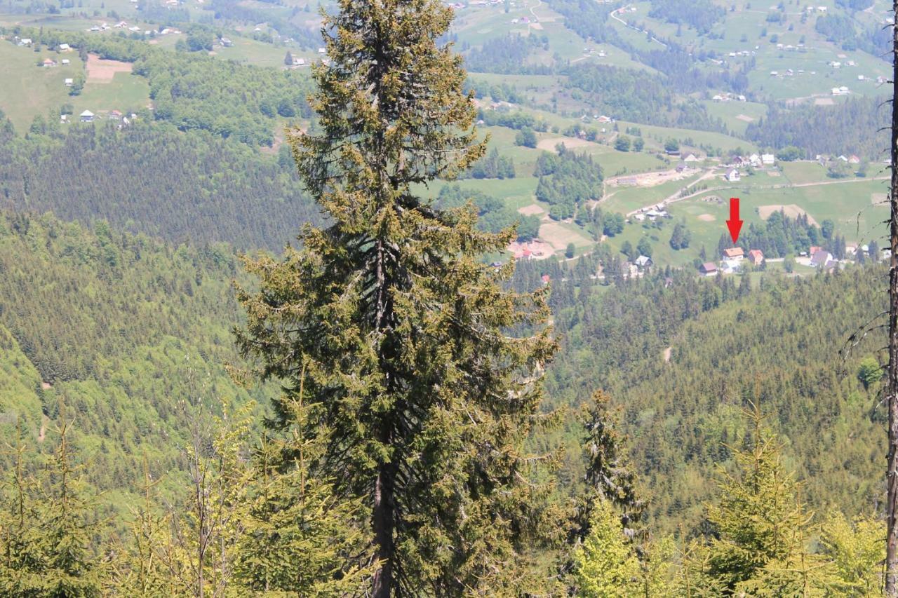 Arnica Montana Hotel Arieşeni Eksteriør billede