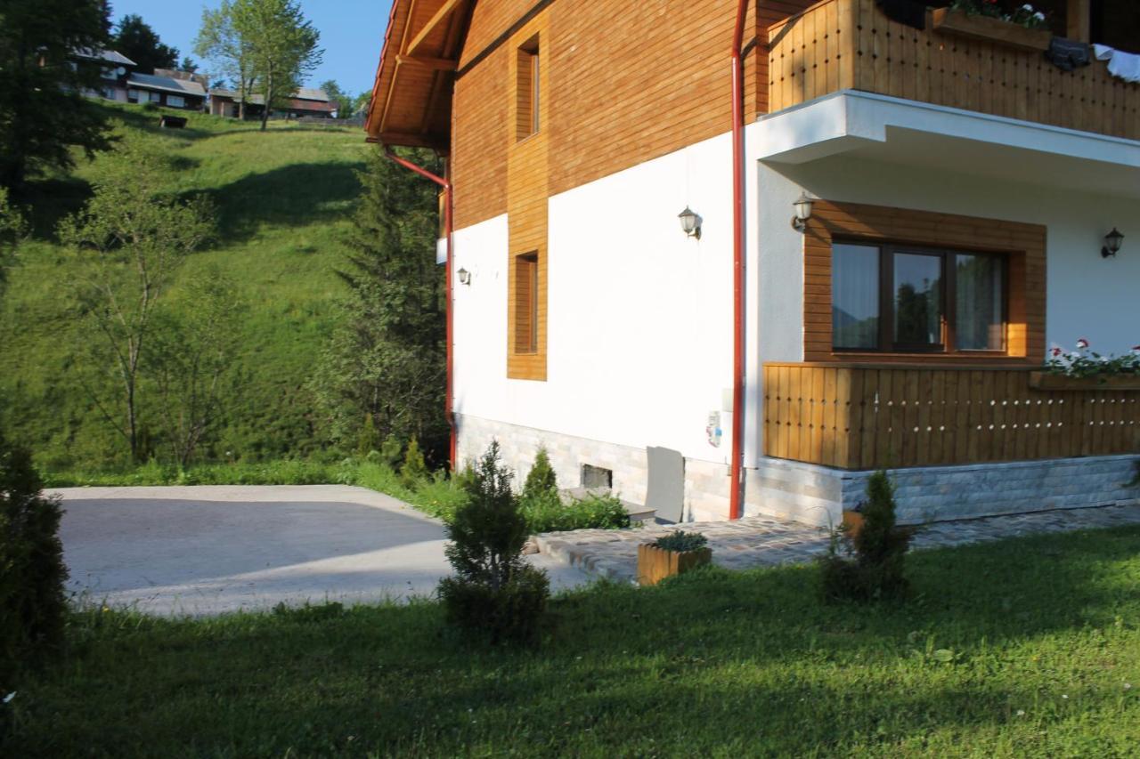 Arnica Montana Hotel Arieşeni Eksteriør billede
