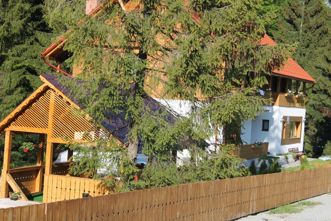 Arnica Montana Hotel Arieşeni Eksteriør billede