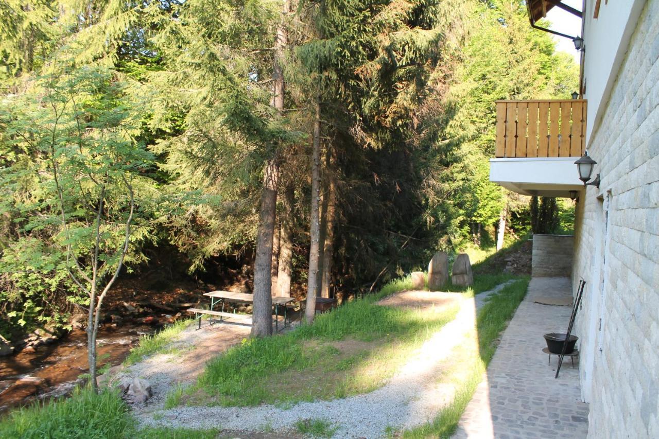 Arnica Montana Hotel Arieşeni Eksteriør billede