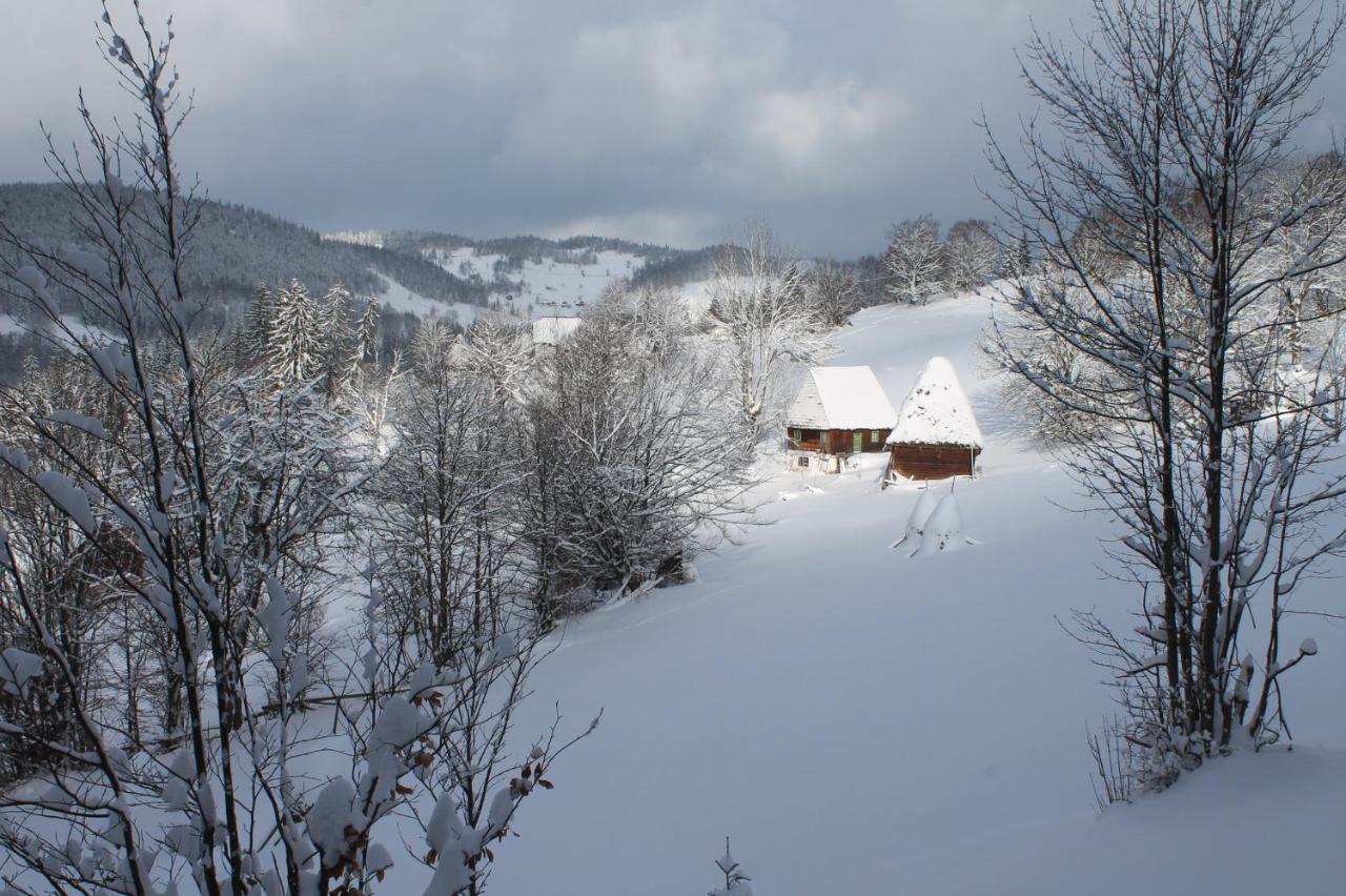 Arnica Montana Hotel Arieşeni Eksteriør billede