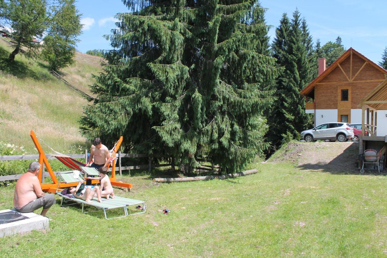 Arnica Montana Hotel Arieşeni Eksteriør billede